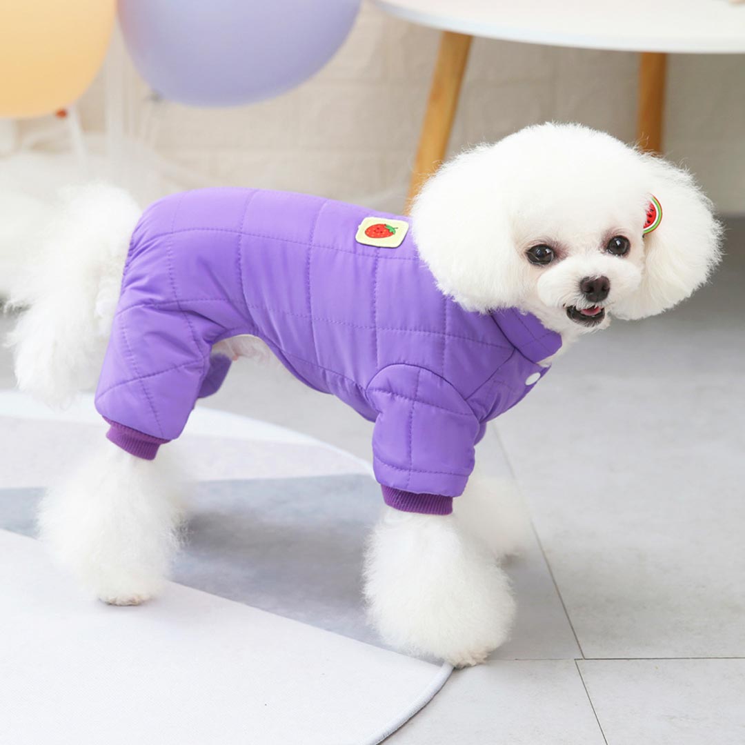 Kombinezon za pse z zapenjanjem na kovice - vijolična barva