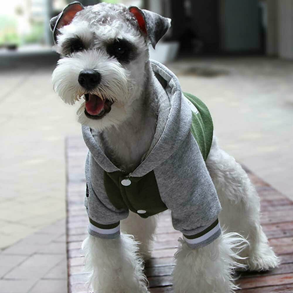 GogiPet topla jakna za psa "New York 69" - zelena barva, udobno nošenje