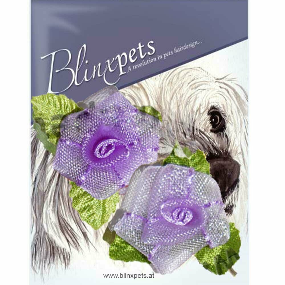 Violet vrtnici za spenjanje dlake psov