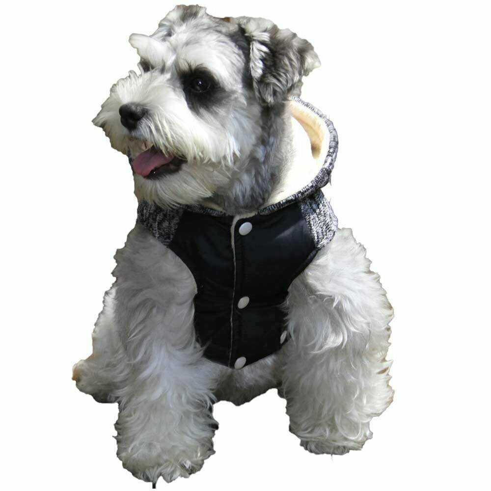 GogiPet zimski plašč za psa "Belo" - črna barva