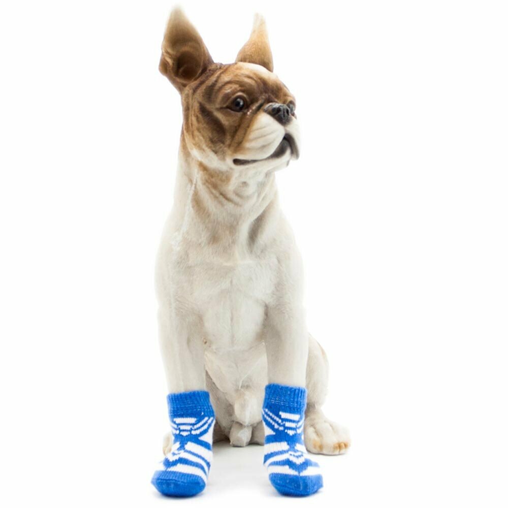 Nogavice za psa - modro bela barvna kombinacija