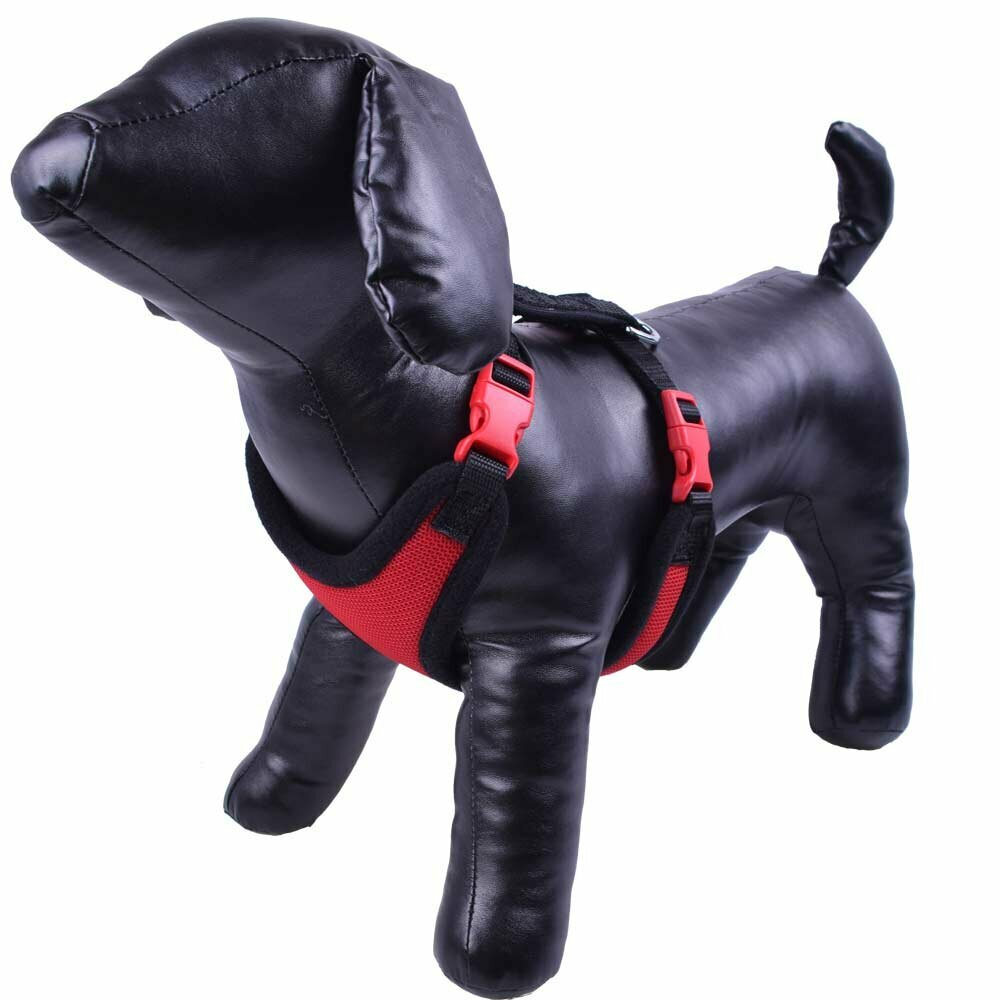 Oprsnica za pse GogiPet® - črno rdeča barvna kombinacije - xl