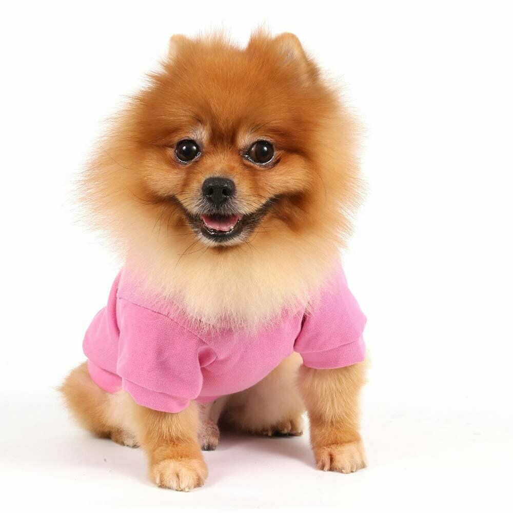 DoggyDolly W231 - Zimski plover za pse Royal Pink