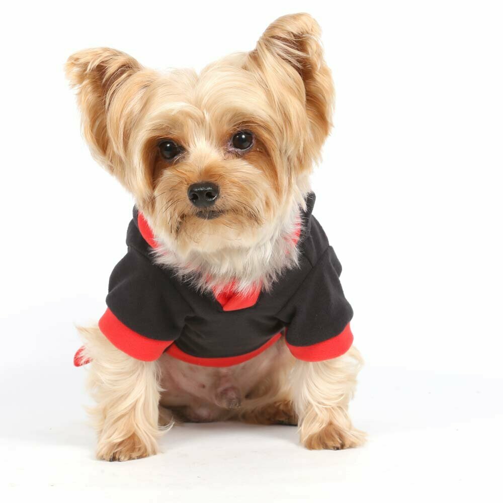 Signature zimski puloverji za pse - črna barva - DoggyDolly W157