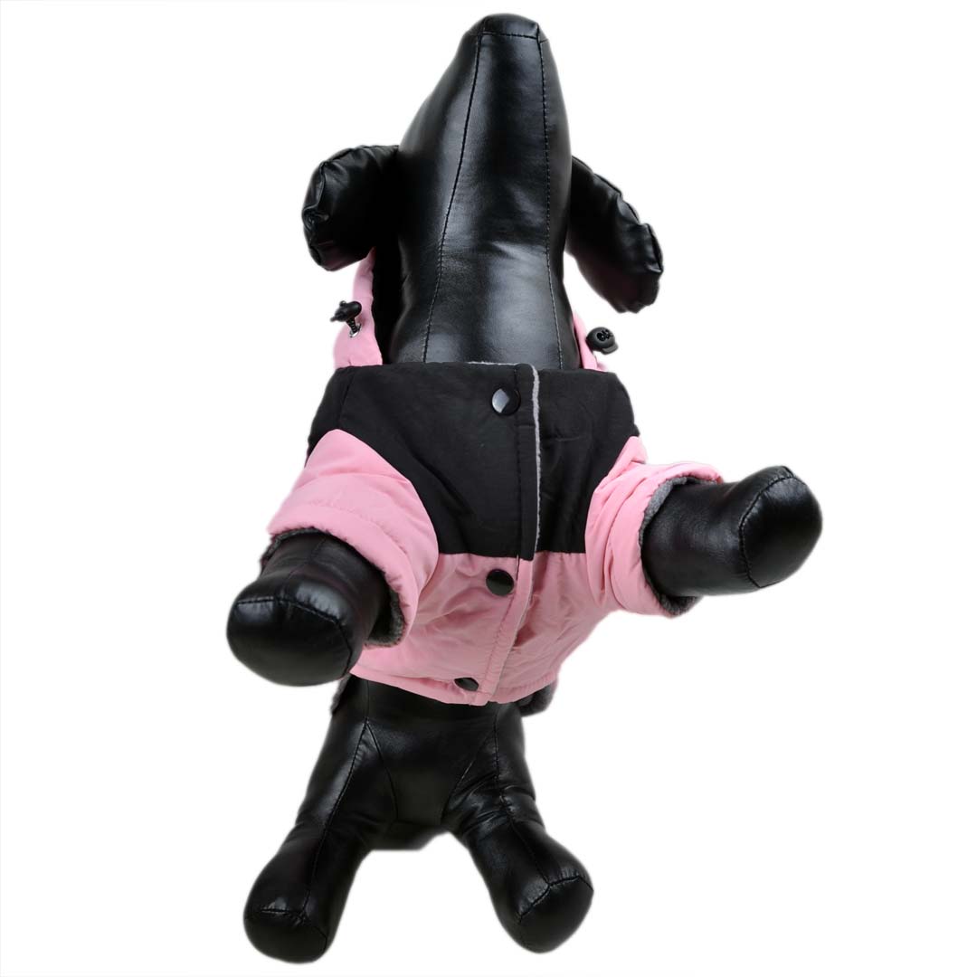 Podložena zimska jakna za pse - pink barva, zapenjenje na nete