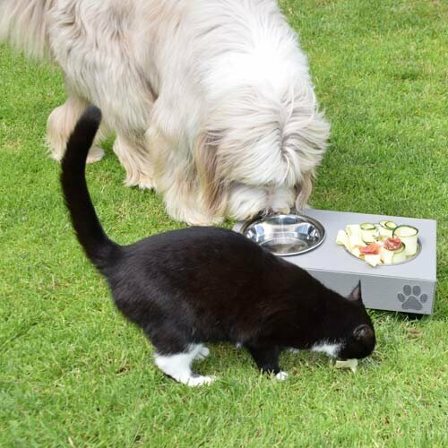 Posode za hranjenje psov in mačk