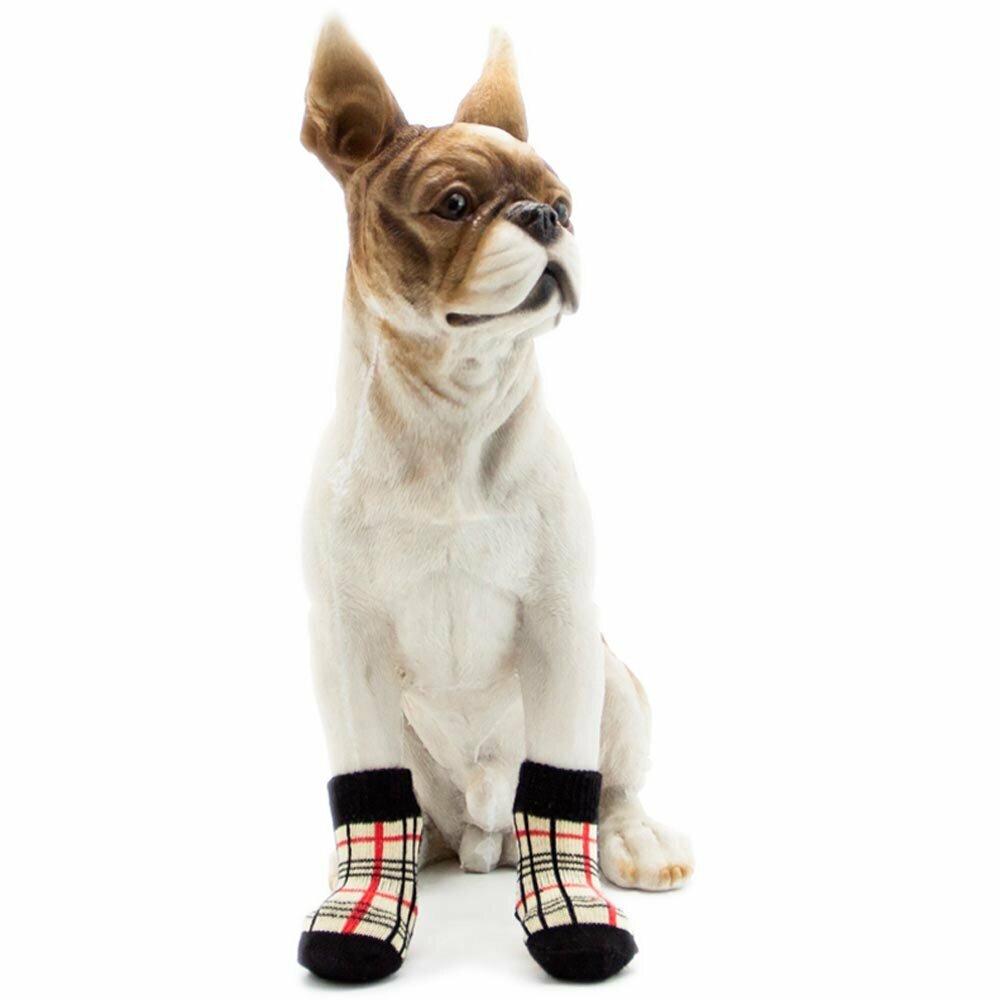 Moderne nogavice za psa