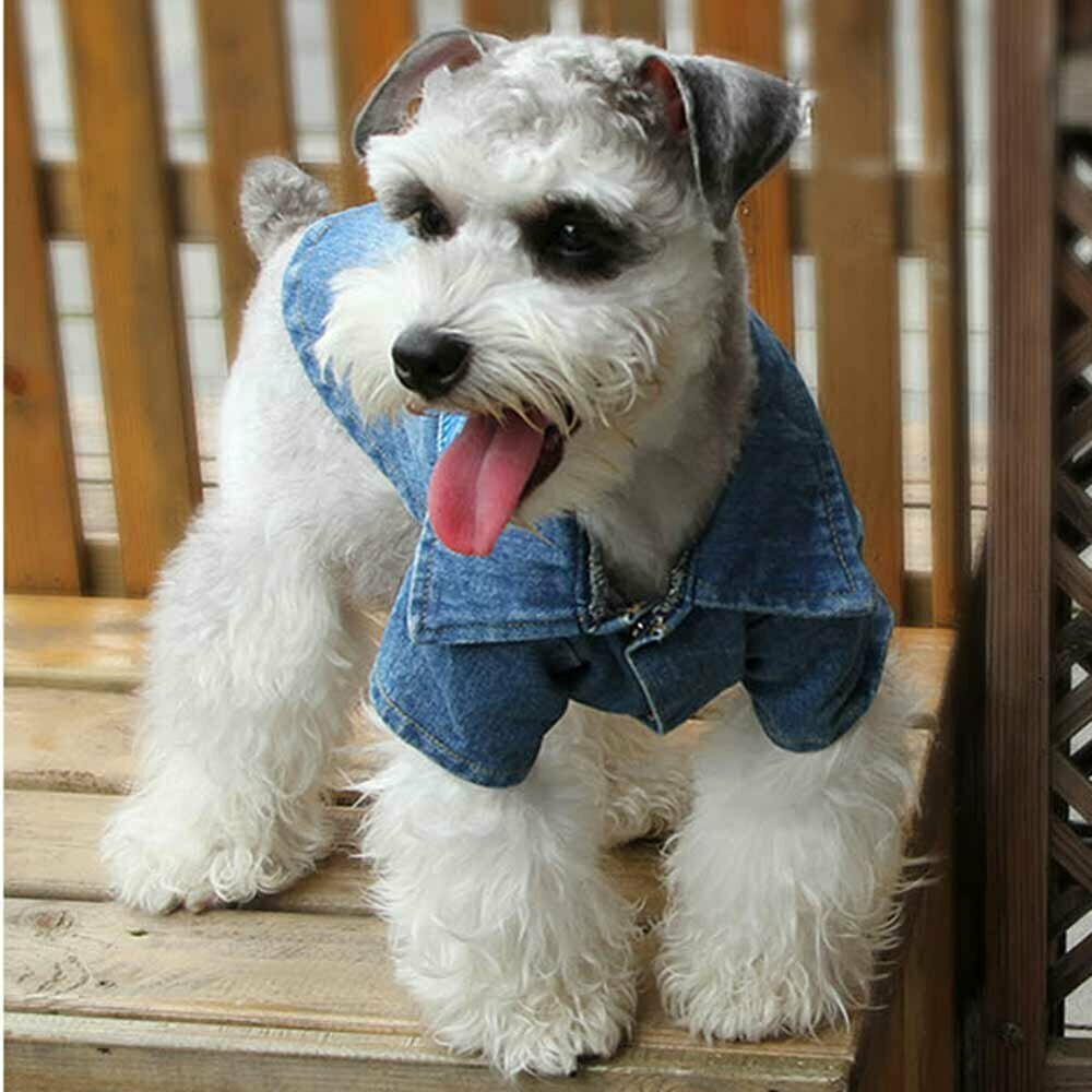 Jeans jakna za psa - oblačila za pse