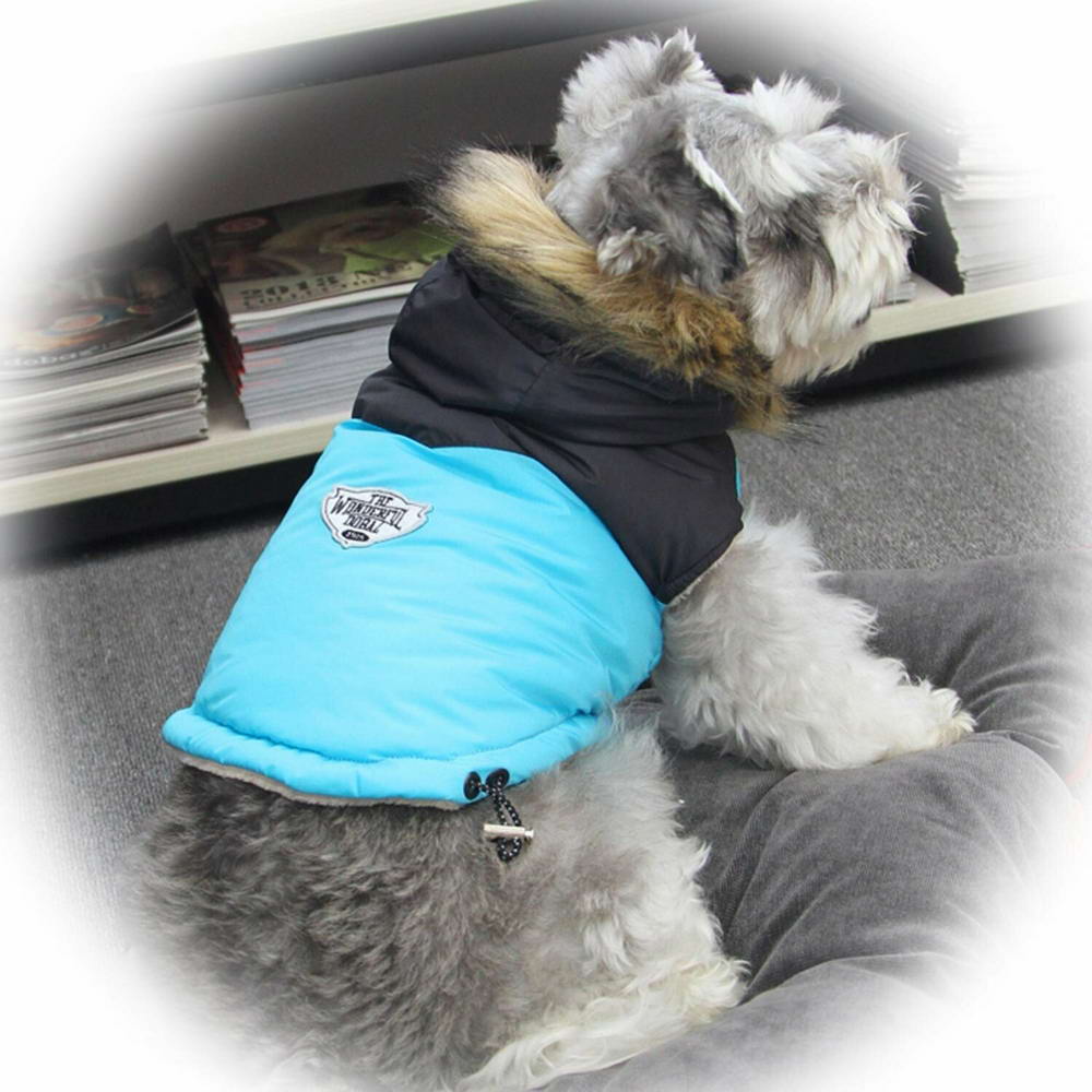 Toplo, zimsko oblačilo za psa "Giorgia" - modra barva