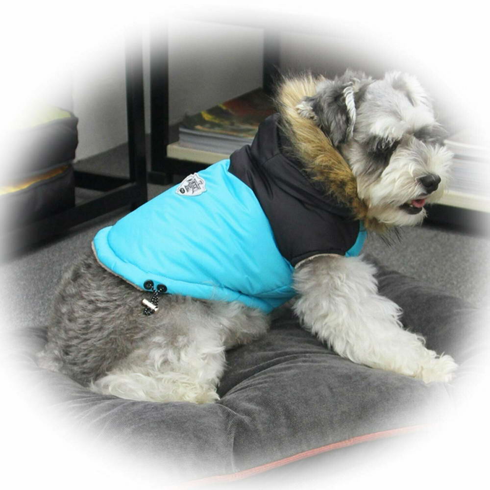 Zimsko oblačilo za psa "Giorgia" - modra barva, udobno nošenje