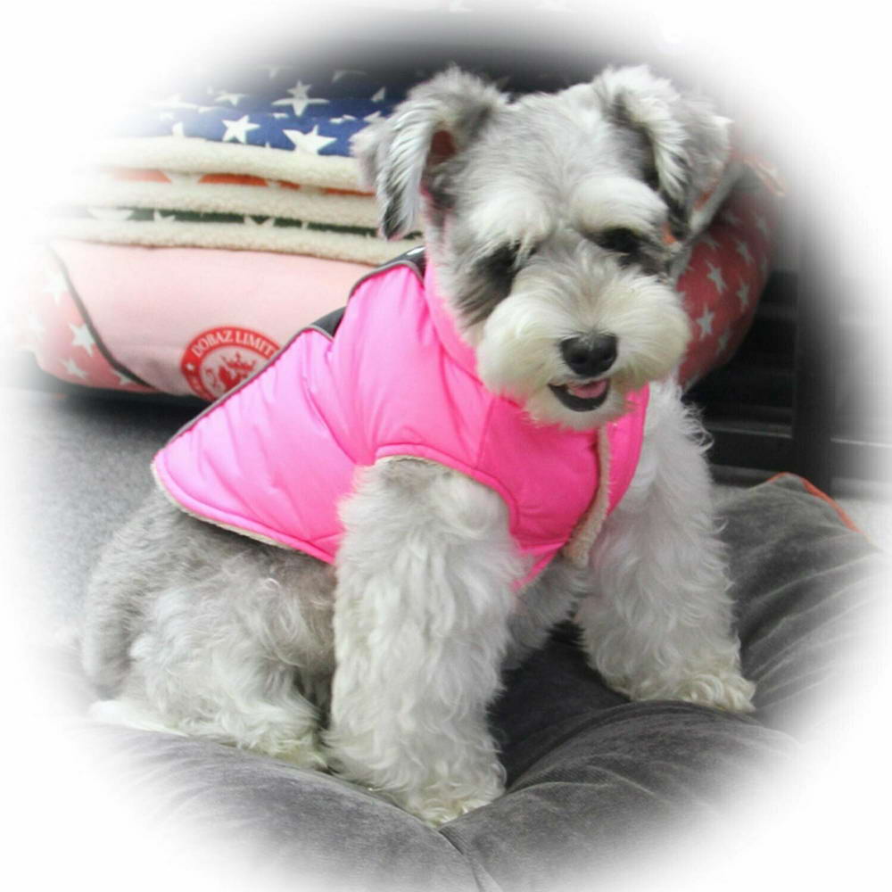 GogiPet podložen anorak za psa "Ema" - rožnata barva, udobno nošenje