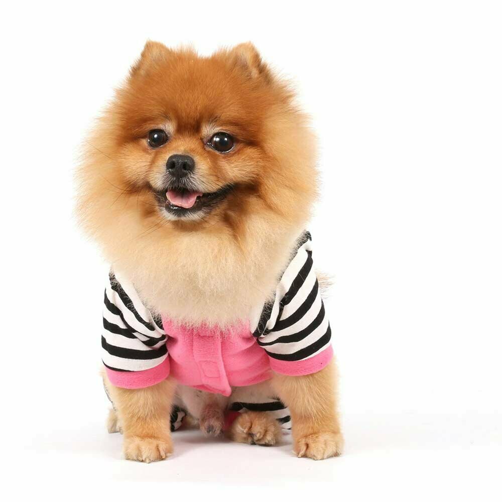 Candy Einteiler pink komplet - oblačilo za pse