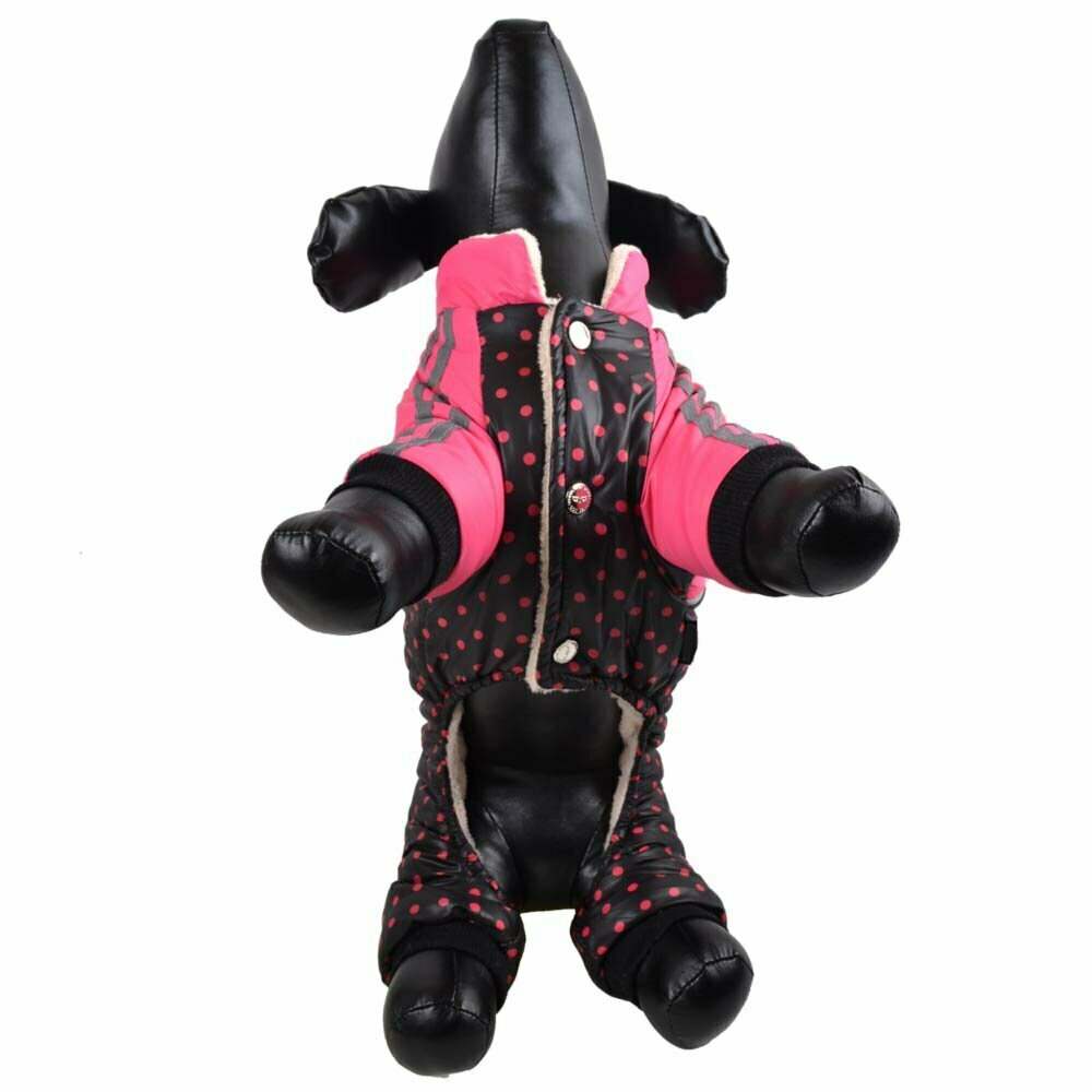 Zimski kombinezon za psa s pikami - pink barva, zapenjanje s kovicami