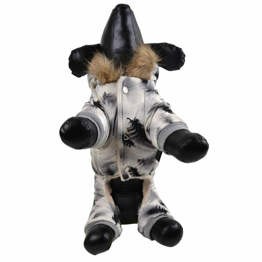 GogiPet zimski komplet za psa "Bela Fantazija" - siva barva, zapenjanje s kovicami