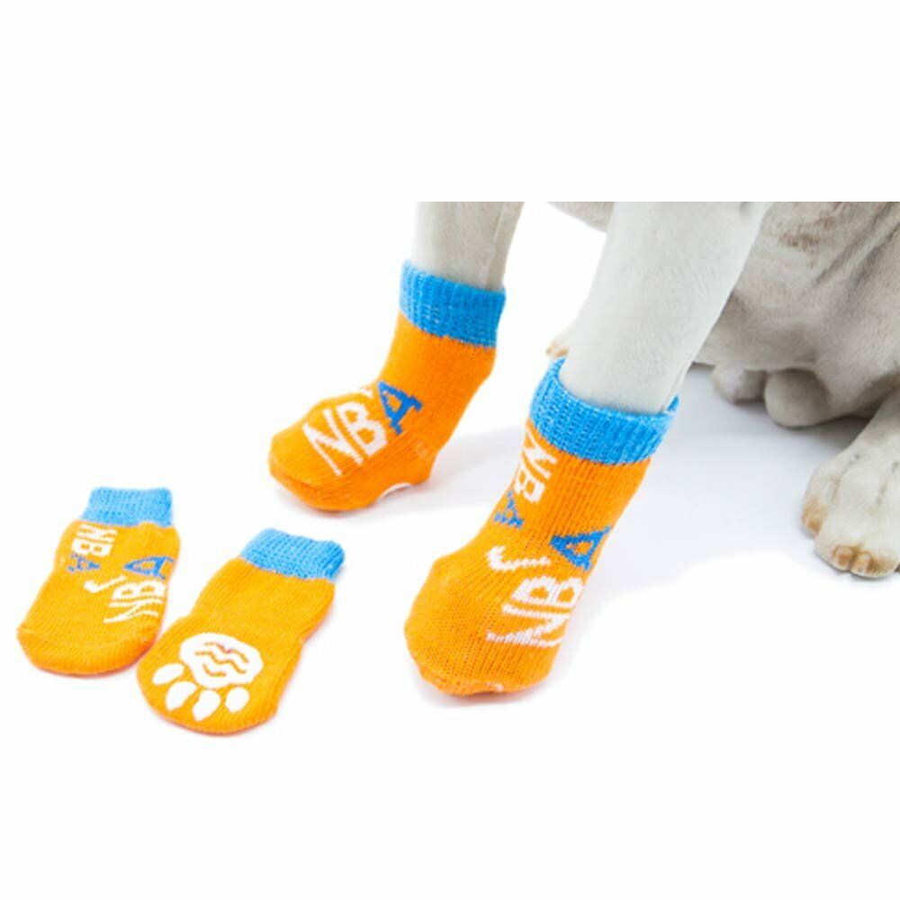 Moderne GogiPet nogavice za psa