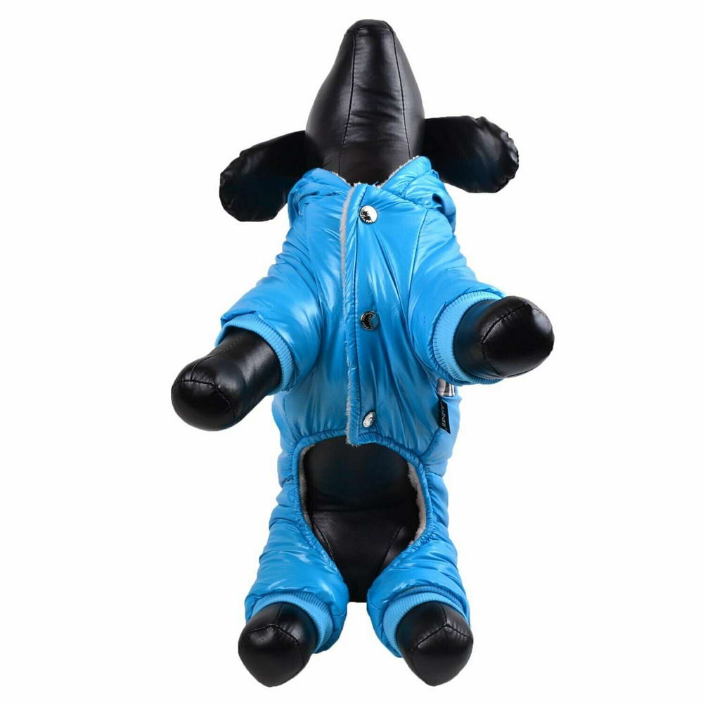 Zimski kombinezon za pse "Burberry Blue" - modra barva, obroba na rokavih in hlačnicah