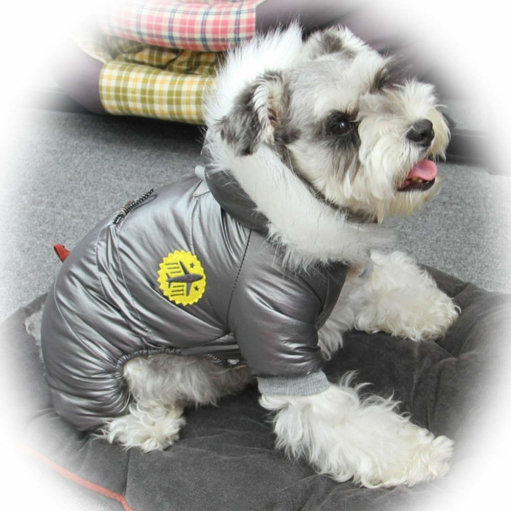 Zimsko oblačilo za psa "Fly Silver" - srebrna barva, udobno nošenje