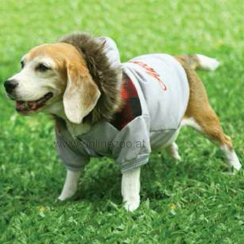 Jakna za pse Awesome Hoodi - DoggyDolly oblačila za pse