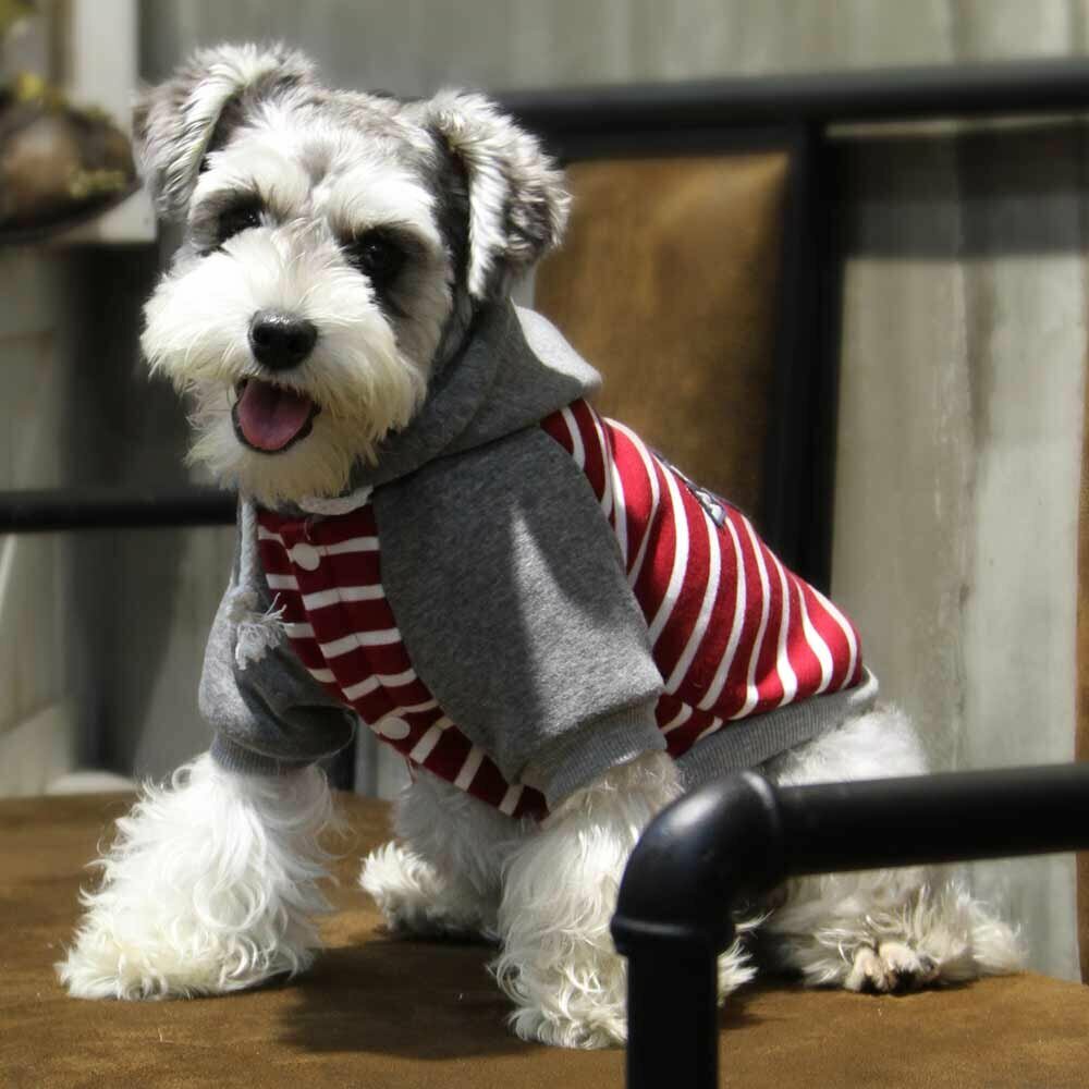 Črtasta jakna za psa "Damaris" - rdeča barva, kapuca z vrvico