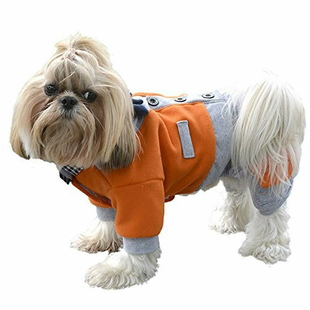 Komplet za psa, model na 4 tačke - Športno elegantno oblačilo DoggyDolly W306