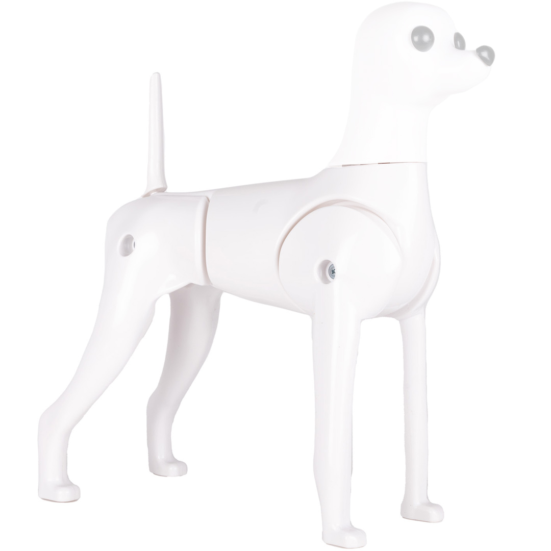 Model psa kot pes za trening in razstavni pes za frizerje hišnih ljubljenčkov