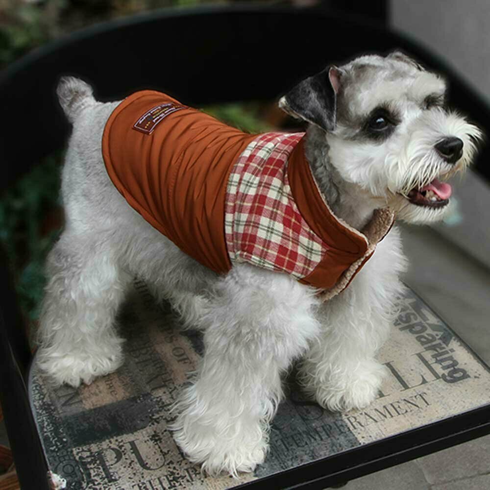 Zimska jakna za psa "Bobi" - rjava barva, karo vzorec