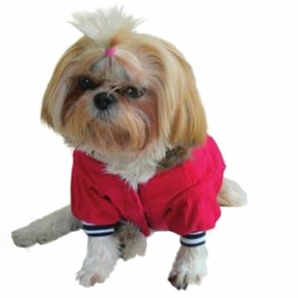 Žametna jakna za psa - DoggyDolly W082