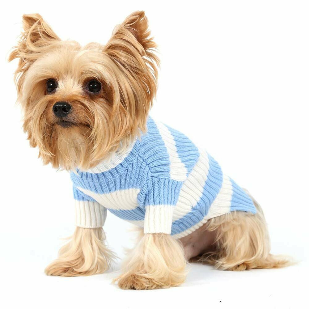 Pleten pulover za psa - modro bel DoggyDolly W050