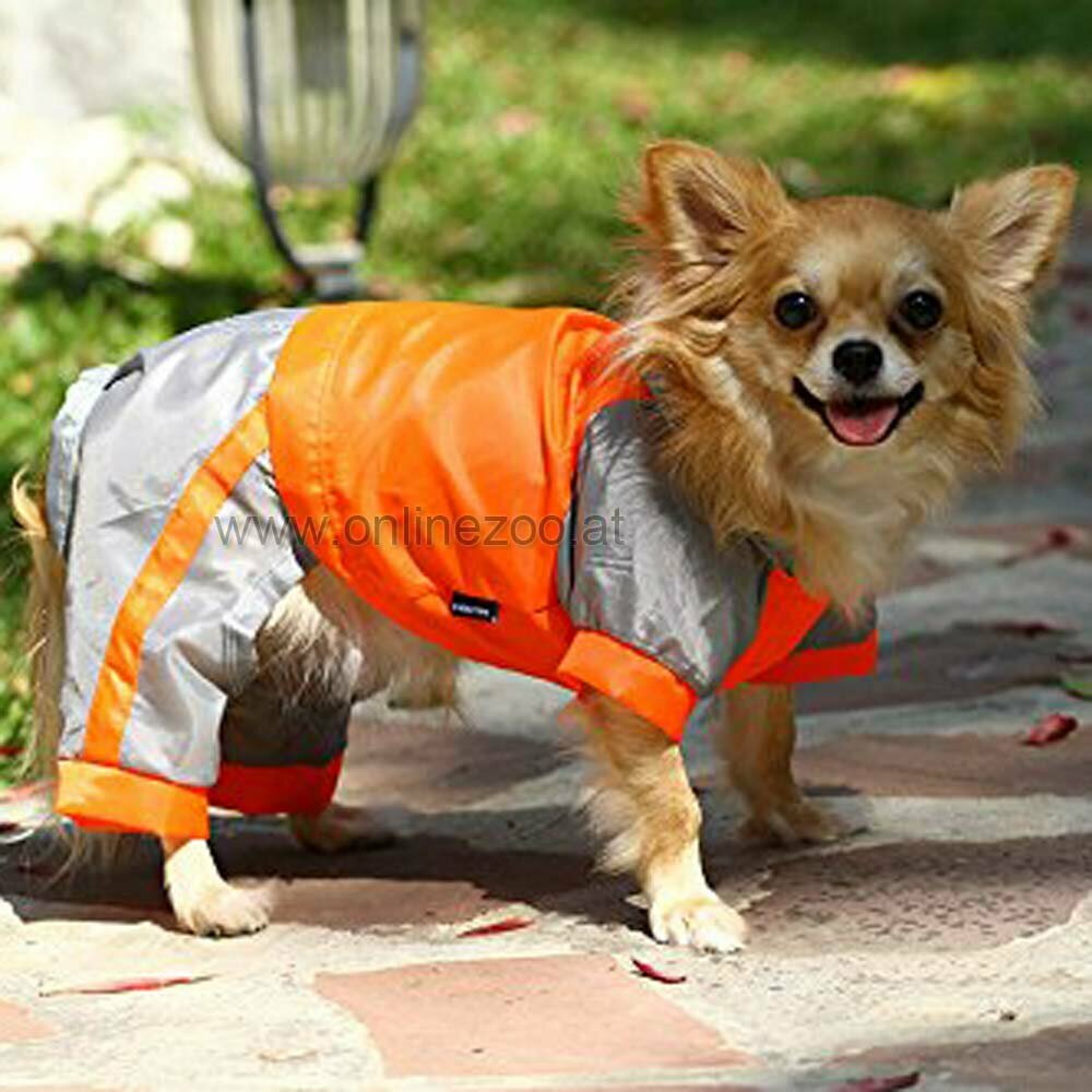 Dežni plašček DoggyDolly DR041 oblačila za pse
