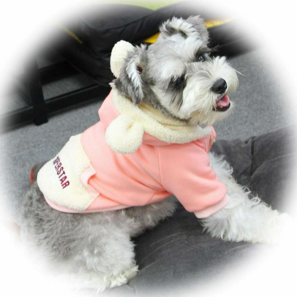 Rožnata zimska jakna za pse "Super Star" - udobno nošenje