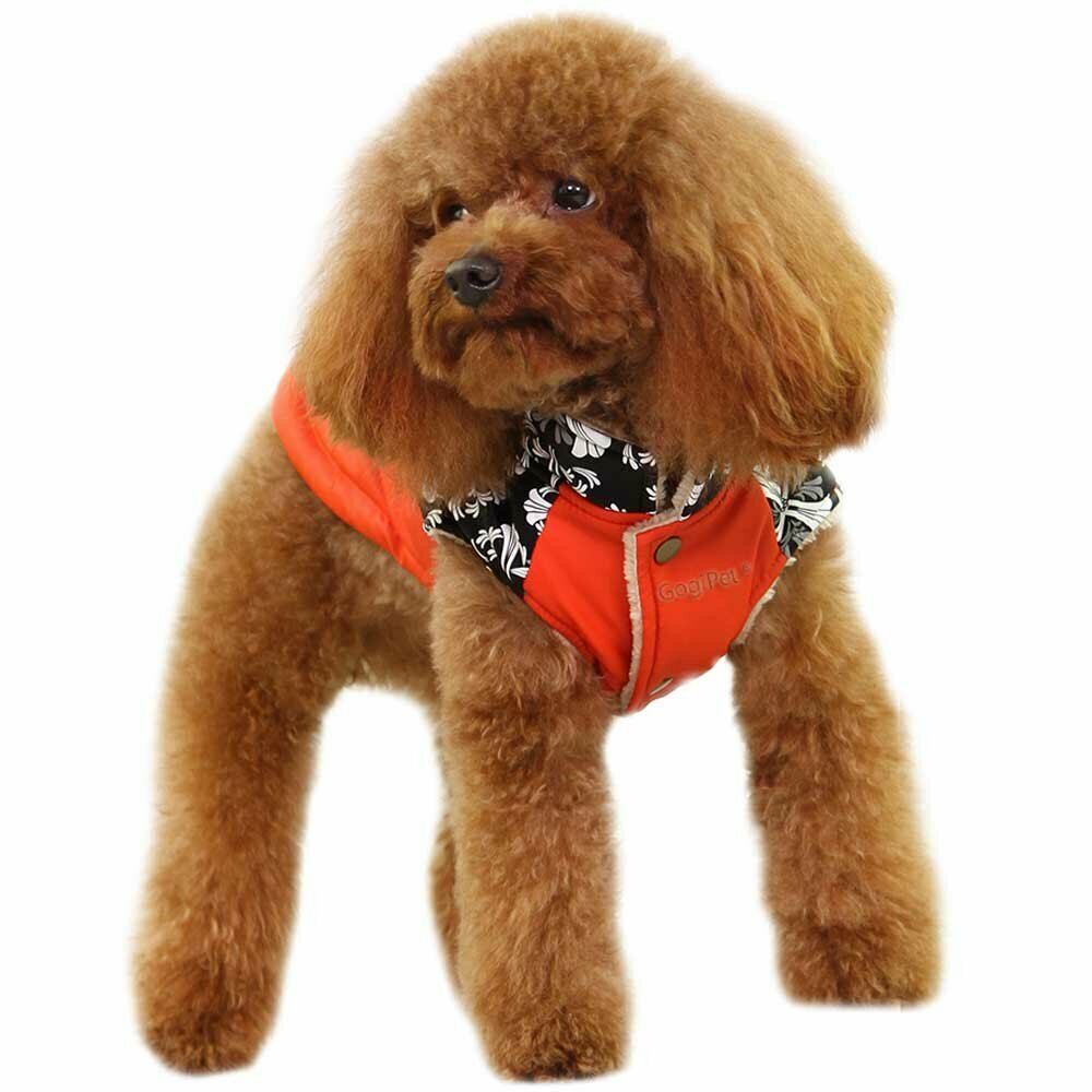 Udobna, GogiPet, oranžna jakna za pse "Nancy"