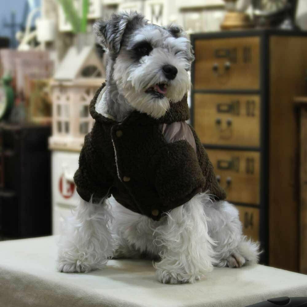 GogiPet zimska jakna za psa "Dobaz" - rjava barva, udobno nošenje