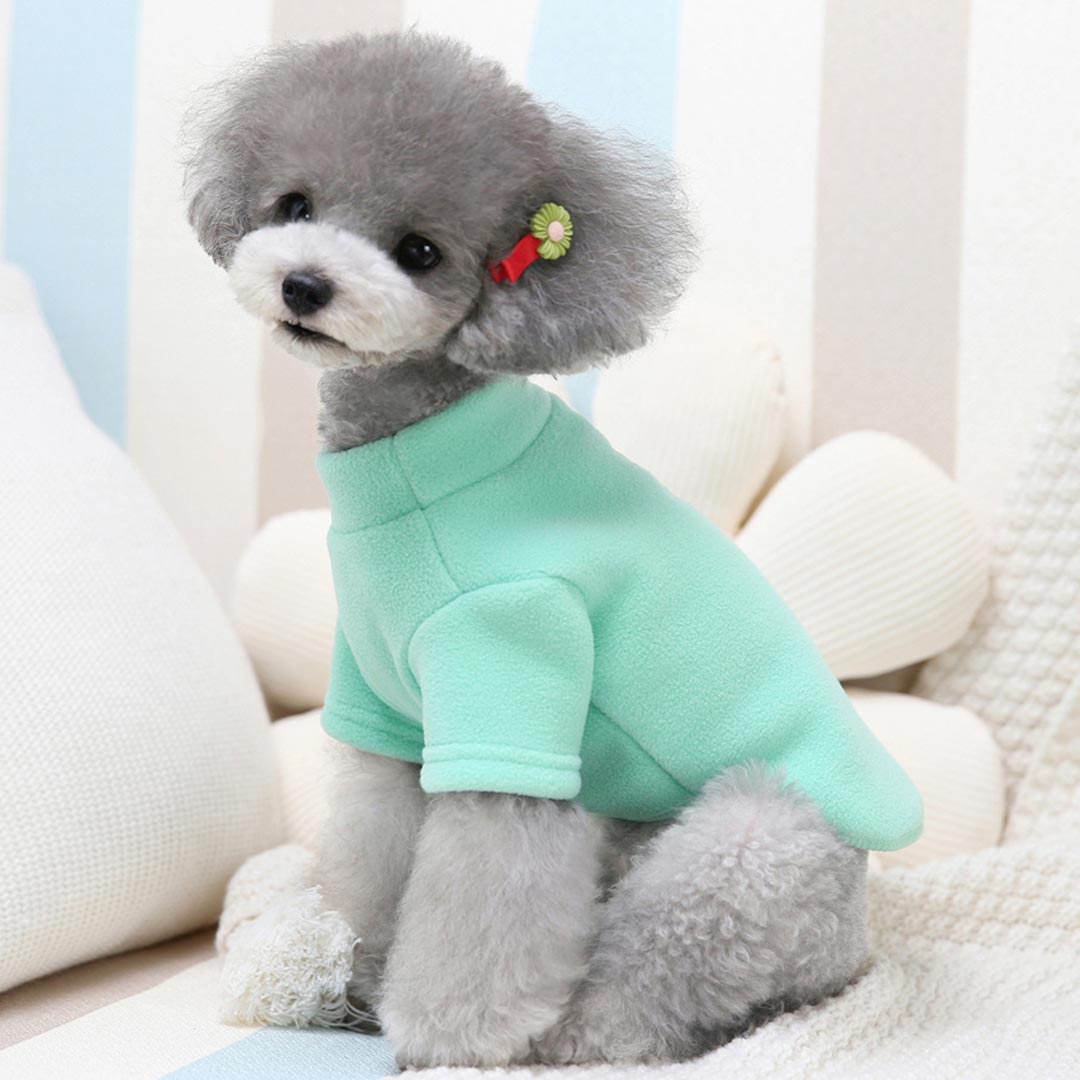 Pulover za  pse "Teddy" - zelena barva