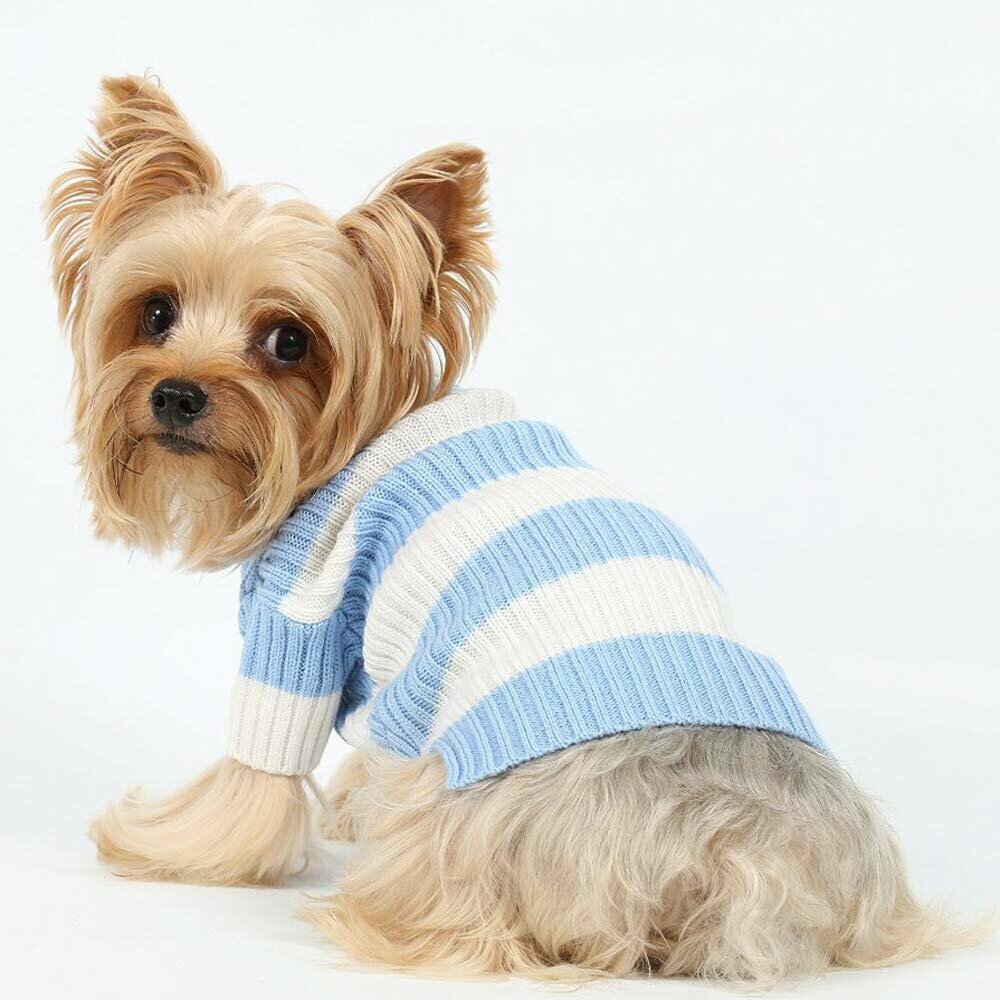 Pleten pulover za psa - modro bel DoggyDolly Hundemoden bei Onlinezoo