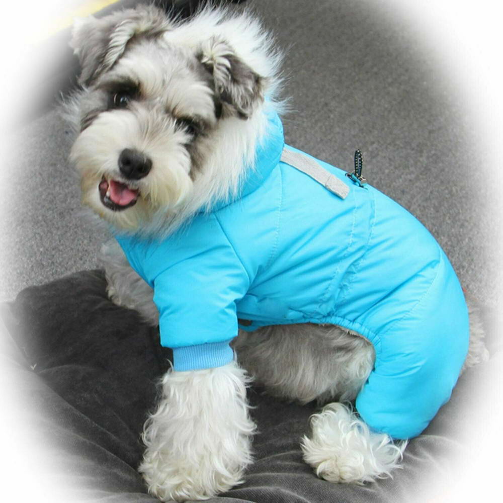 Zimsko oblačilo za psa "Fly Blue" - svetlo modra barva, udobno nošenje