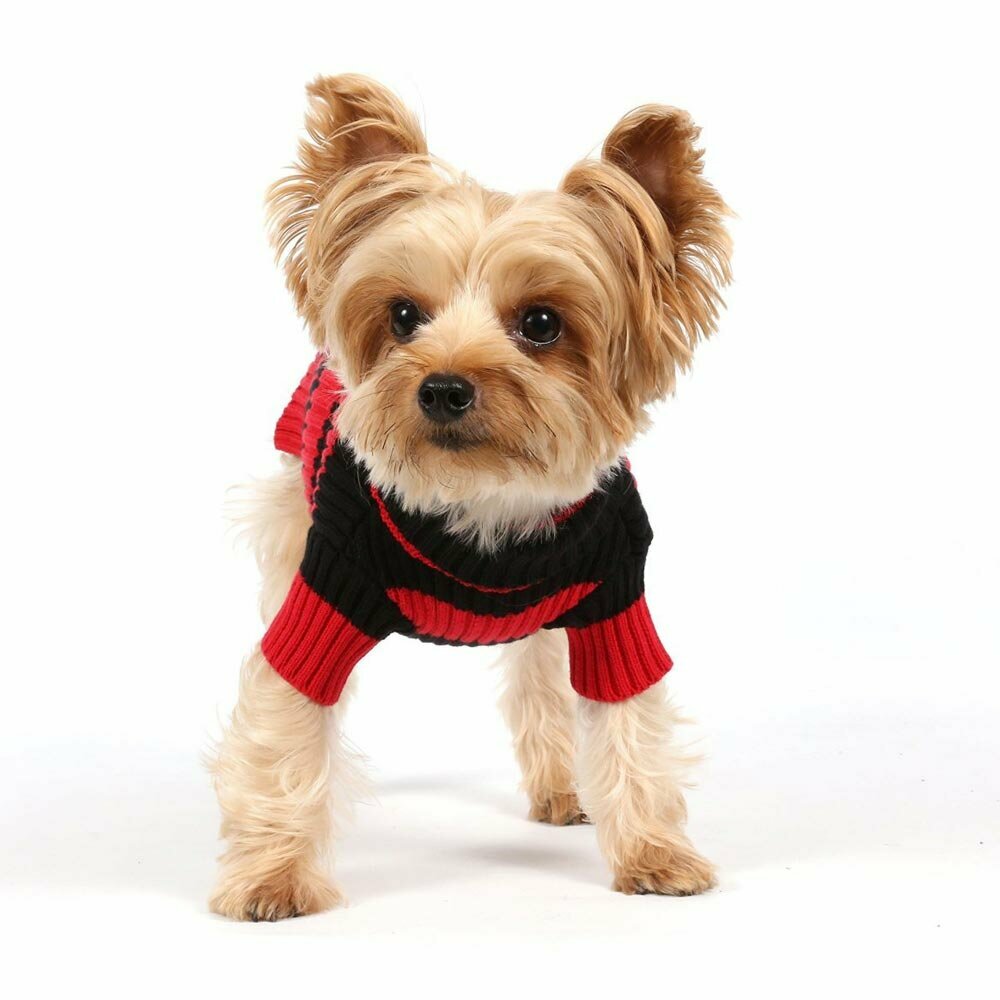 Barvasti puloverji za pse - pisan vzorec DoggyDolly W274