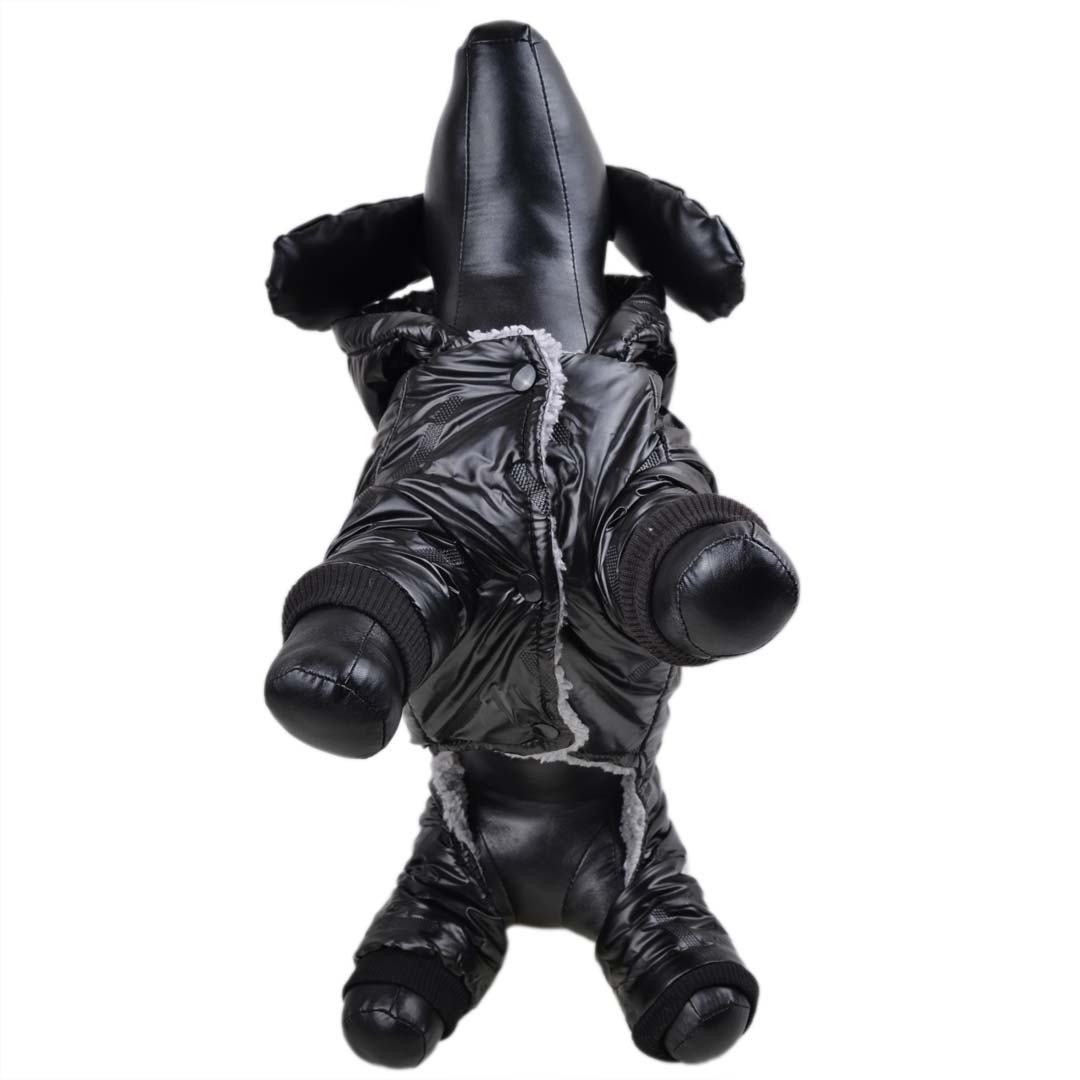 Zimski plašč za pse "Moonwalk" - črna barva, zapenjanje na kovice