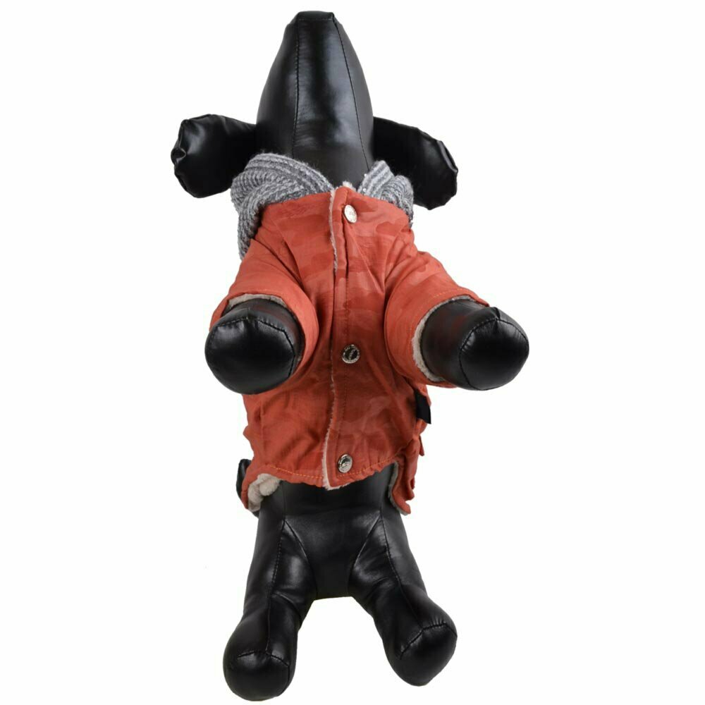 GogiPet zimski plašč za psa "Joel" - oranžna barva, zapenjanje s pritiskači