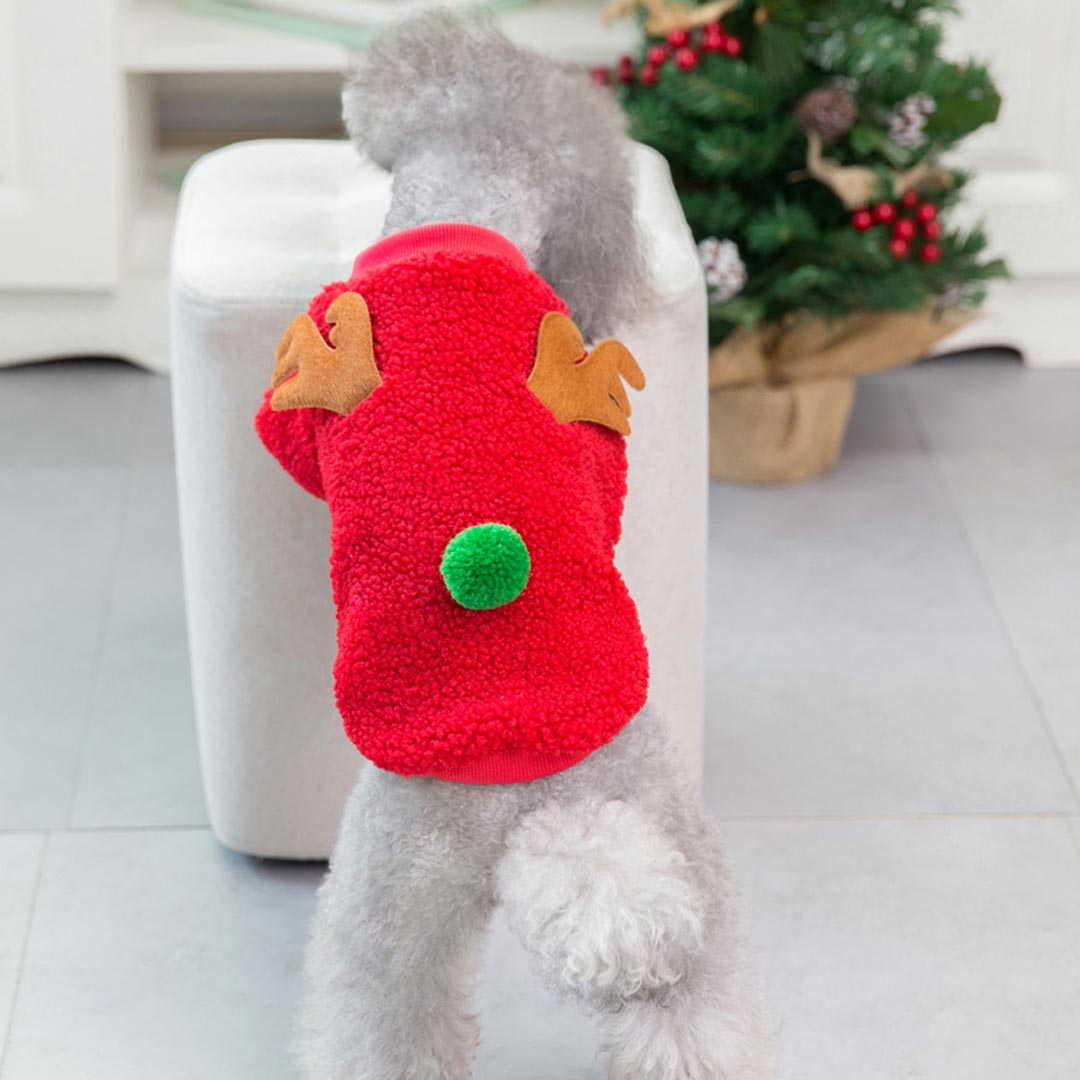 Pulover za pse "Jelenček Rudolf" - rdeča barva, našiti rogovi in rep