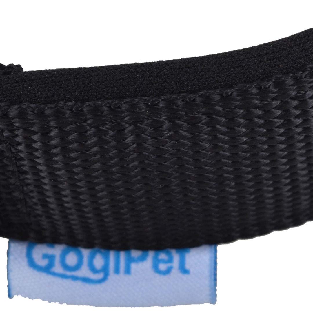 GogiPet® kakovost - črna podložena ovratnica za psa