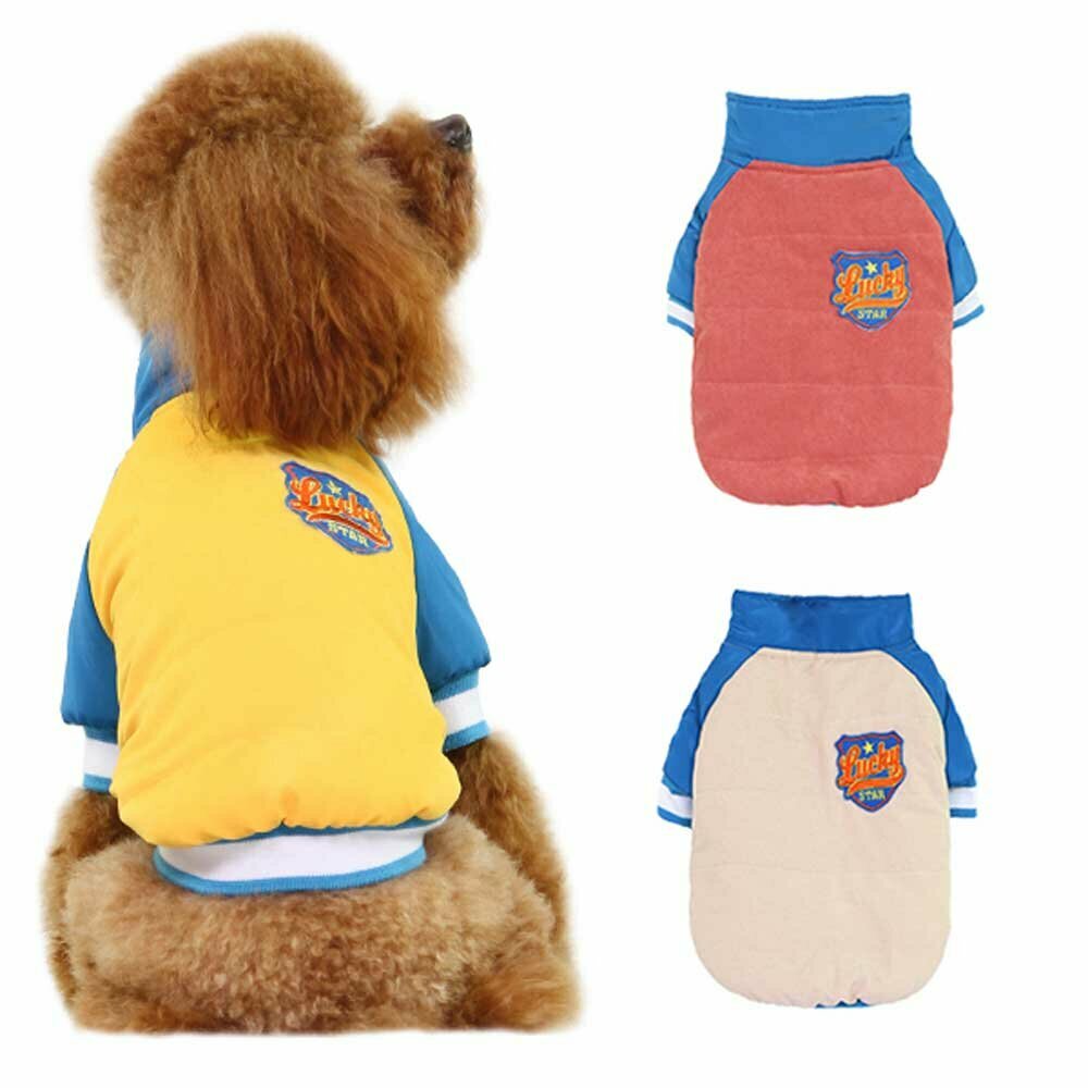 GogiPet® kolekcija športnih oblačil - športna jakna za psa "Lucky Star" - rumena barva