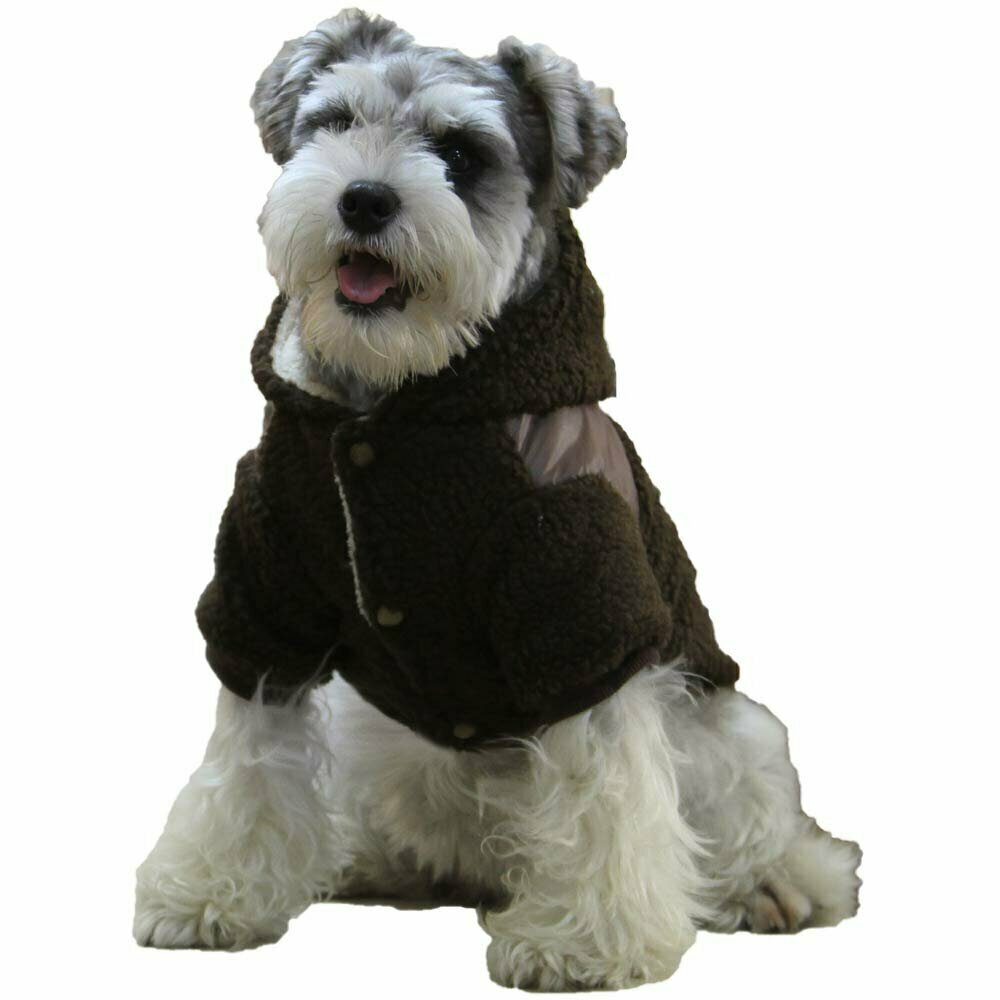 GogiPet zimska jakna za psa "Dobaz" - rjava barva