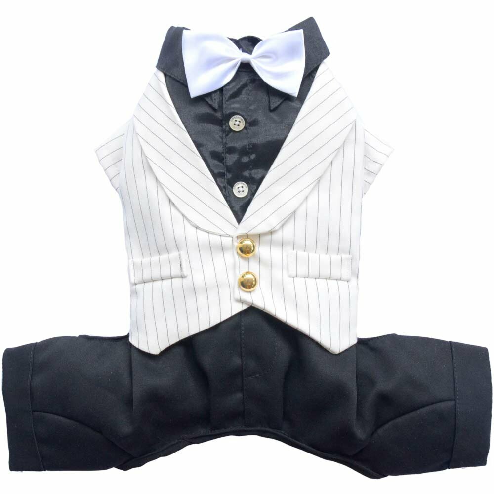 Elegantna obleka za psa "Mirko" - beli telovnik, črne hlače in srajca