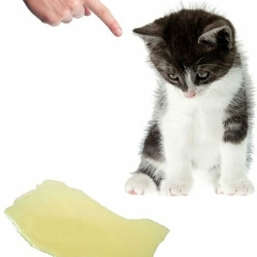 Katzenurinkiller - uničevalec vonja po urinu