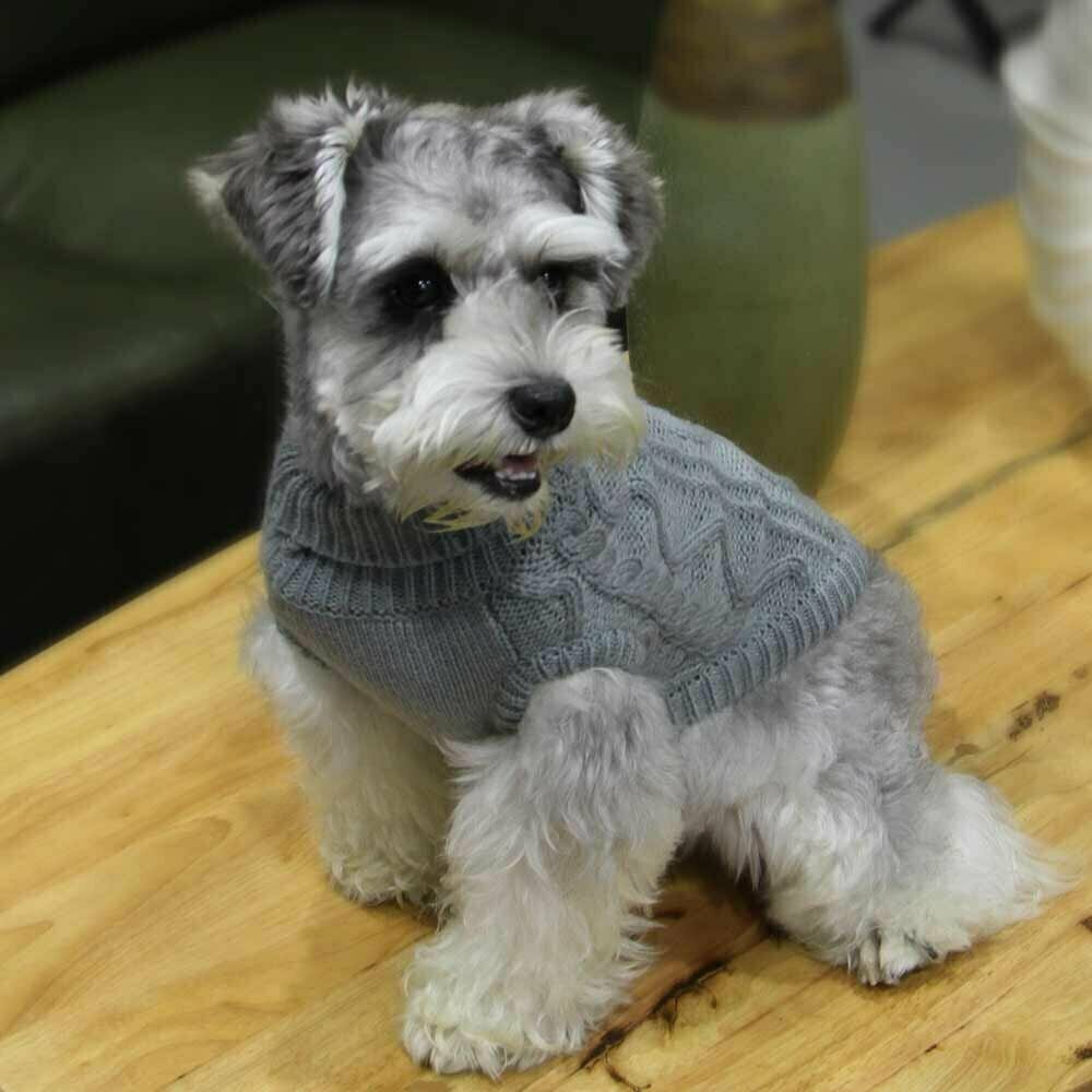 Vzorčno pleten pulover za psa "Queenie" - siva barva, udobno nošenje
