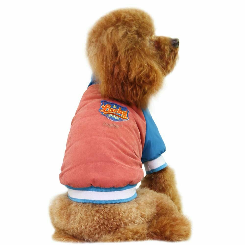 Športna jakna za psa "Lucky Star" - rdeča barva