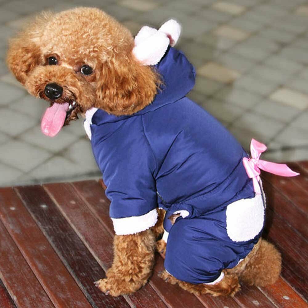 Zimski kombinezon za psa "Modra miška" - udobno oblačilo za psa