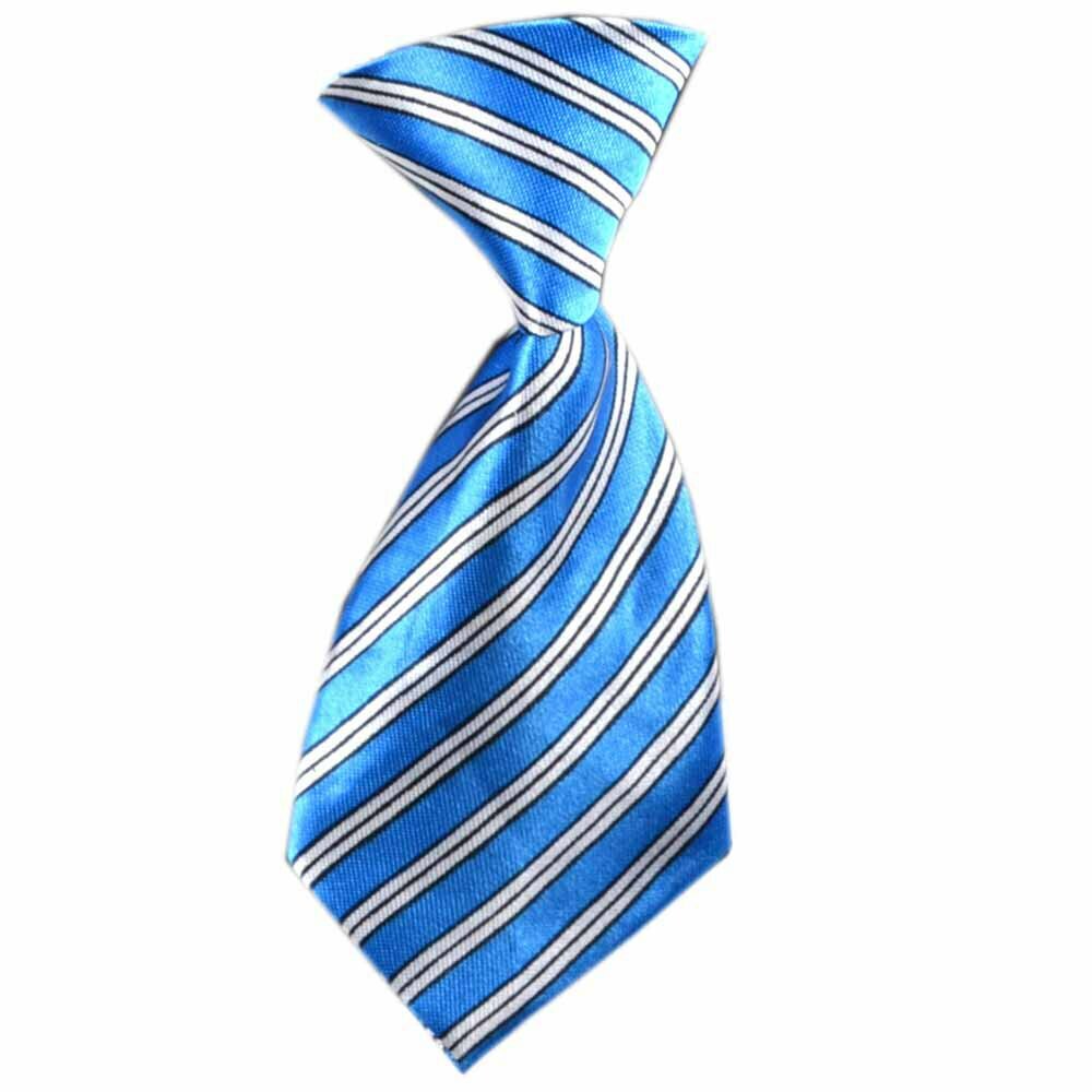 GogiPet kravate za pse "Edward" - modri, črtast vzorec