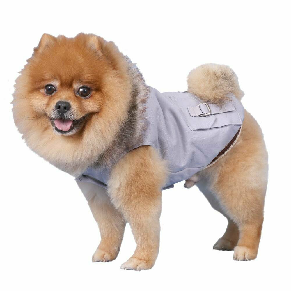 Bombažna jakna za pse s kapuco -  siva barva