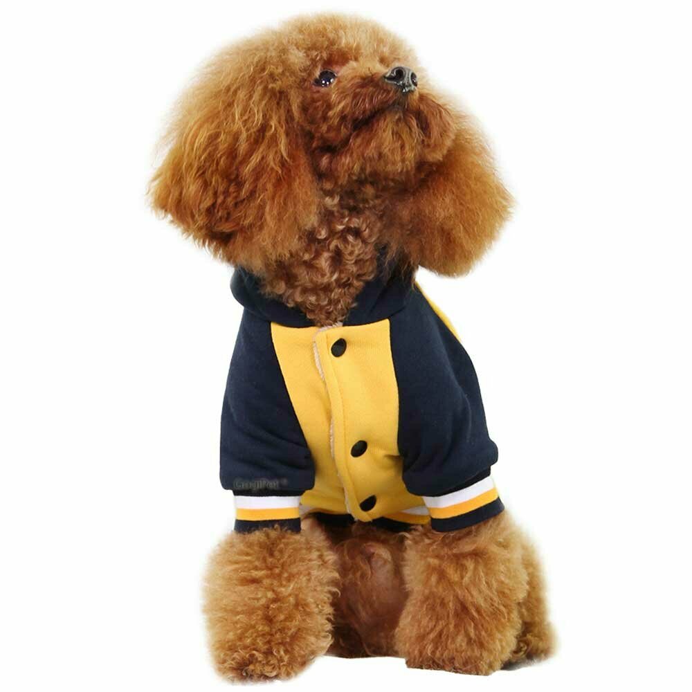 GogiPet zimska jakna za psa "89" - rumena barva, zapenjanje s pritiskači